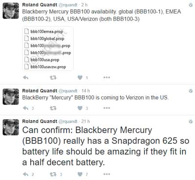 blackberry mercury