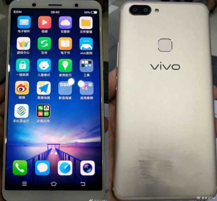 vivo