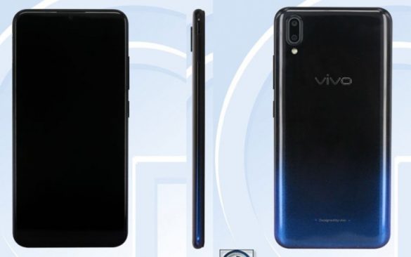 vivo