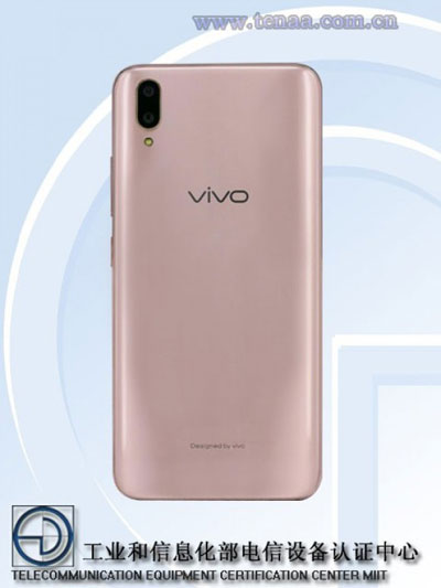 vivo