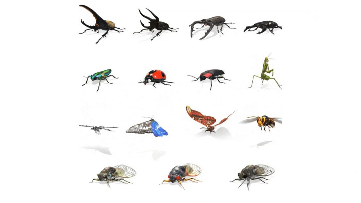 google insetti realtà aumentata