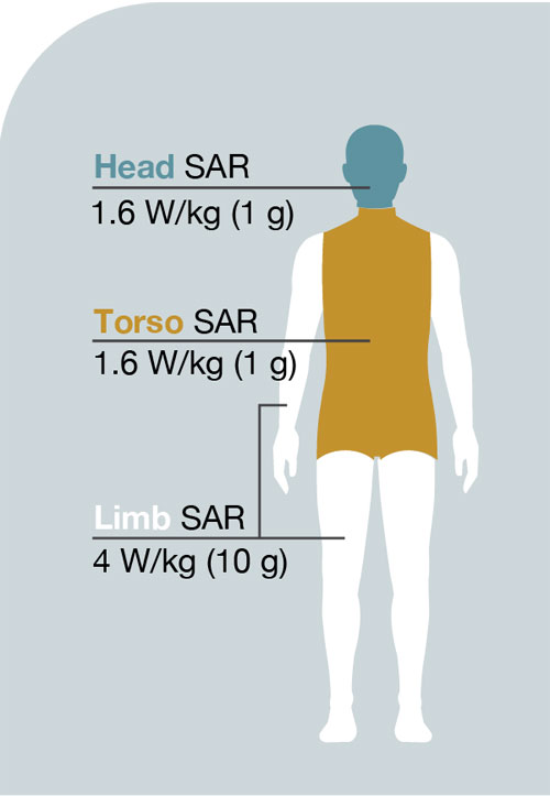 valori sar differenza tra testa e corpo