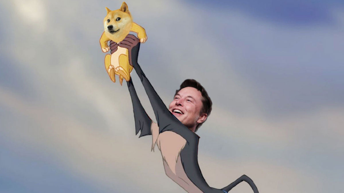 elon musk dogecoin