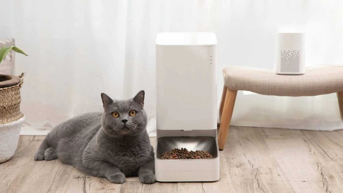 xiaomi ciotola smart